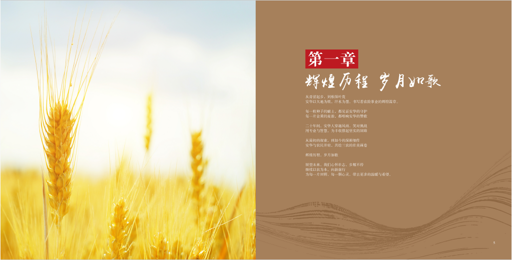 辉煌历程，岁月如歌